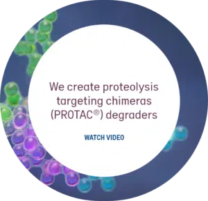 We create proteolysis targeting chimeras (PROTAC) degraders