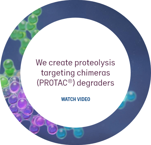 We create proteolysis targeting chimeras (PROTAC) degraders