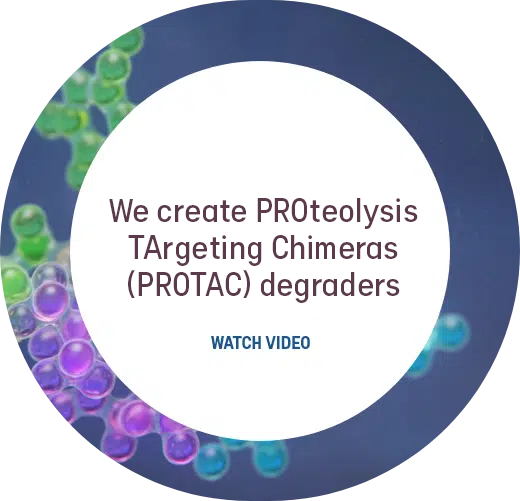 We create proteolysis targeting chimeras (PROTAC) degraders