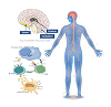 PROTAC Discovery Engine Human Body graphic