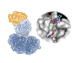 PROTAC Structural Biology graphic